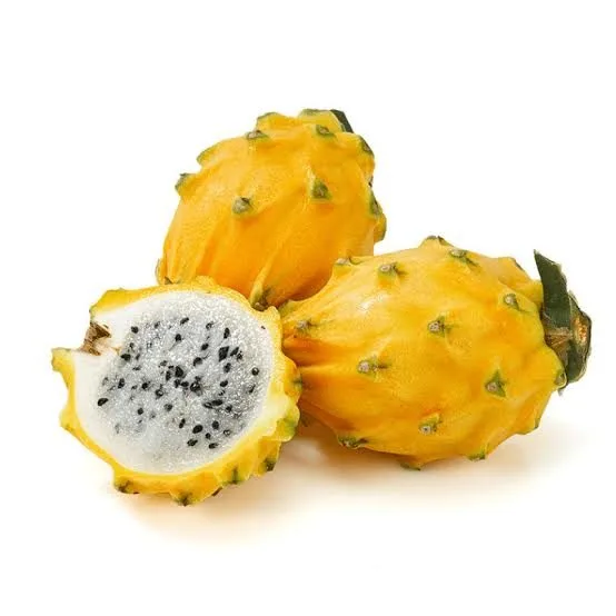 Gold Yellow - mature plant reference image 2