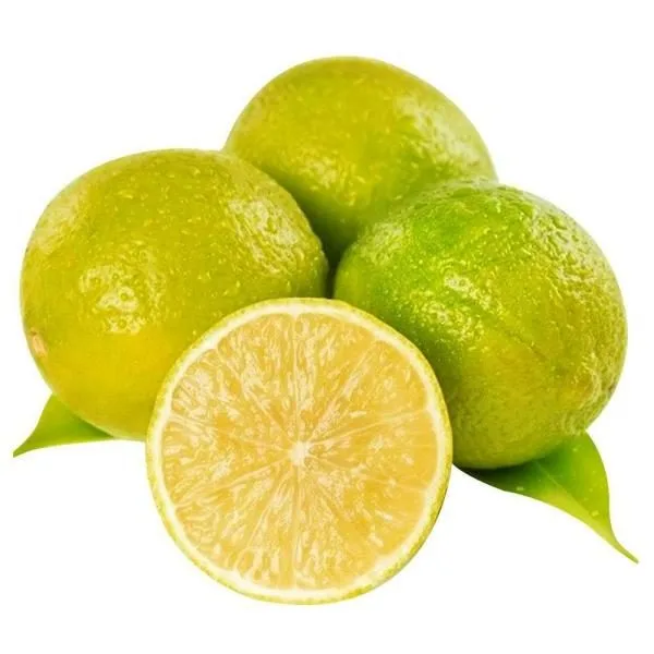 DATV Mosambi - mature plant reference image 2