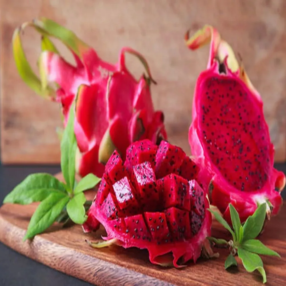 Moroccan - mature plant reference image 3